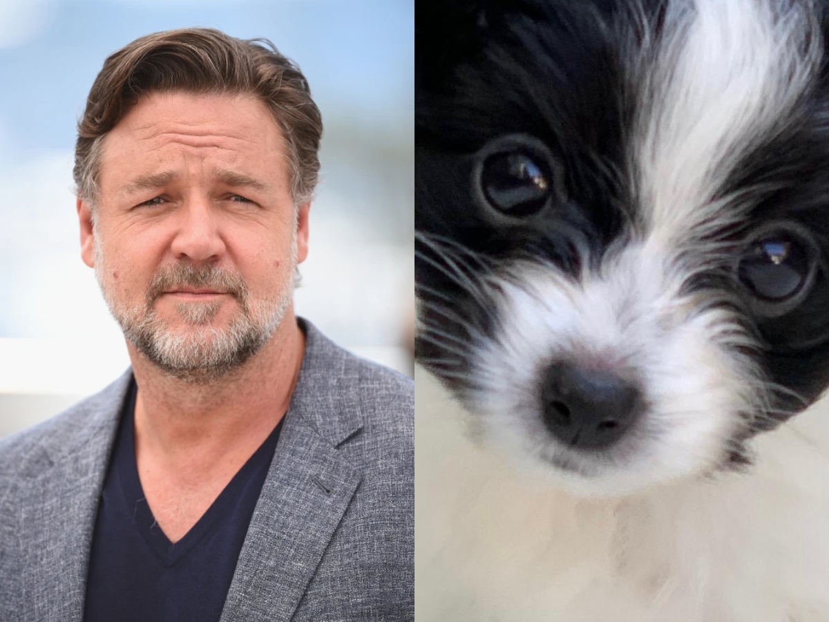 Actor Russell Crowe and his dog